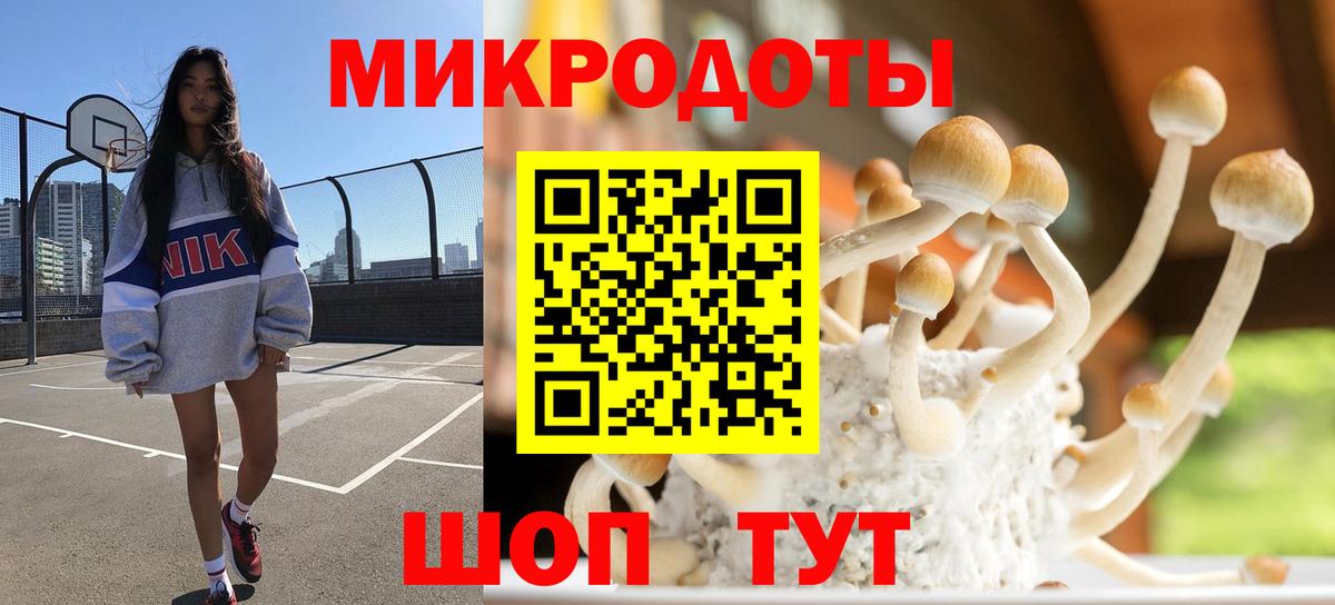 Галлюциногенные грибы Cubensis  Галлюциногенные грибы мухоморы  купить наркотик  Чехов  Вход с VPN 