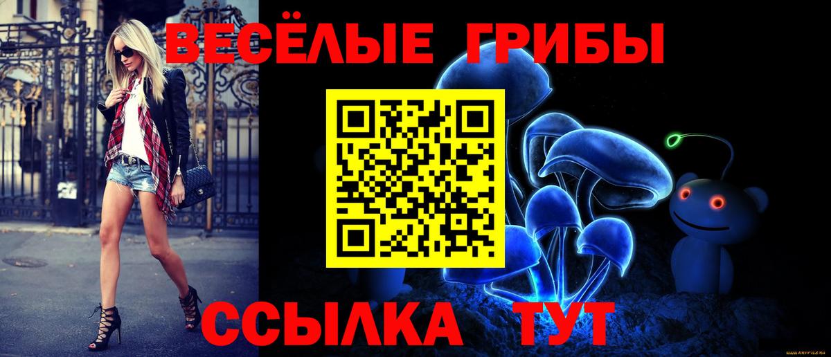 Псилоцибиновые грибы MAGIC MUSHROOMS Чехов